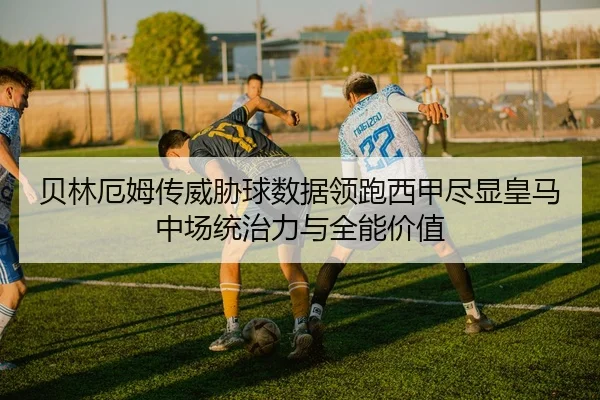 img_1783522410278_488_1_715.jpg